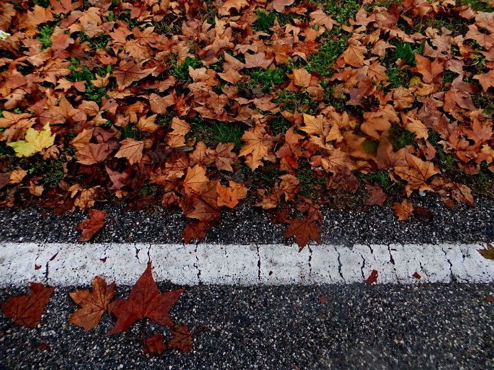 autunno 10 (33) e [1024x768].jpg